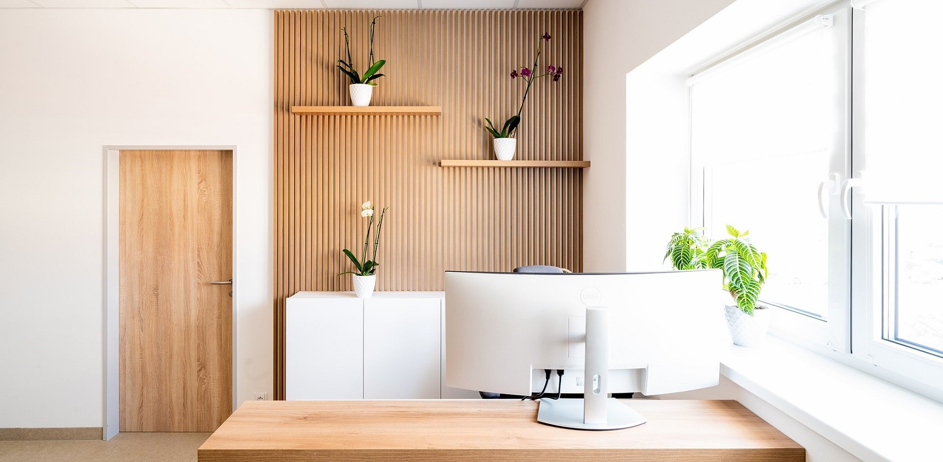 Kanceláře Freedom - 1